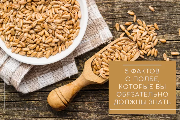 5 фактов о полбе, которые Вы обязательно должны знать!