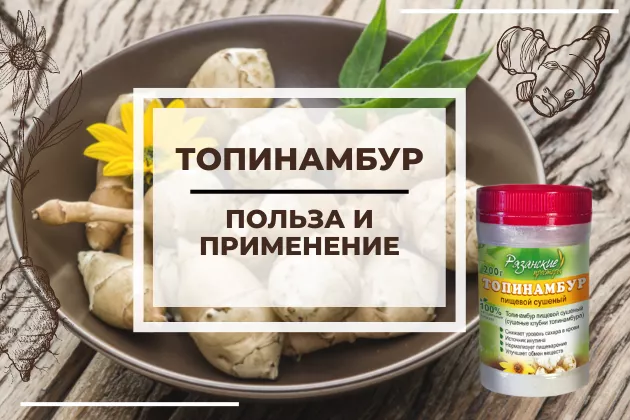 ТОПИНАМБУР: польза и применение